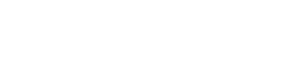 ChatbotBravo